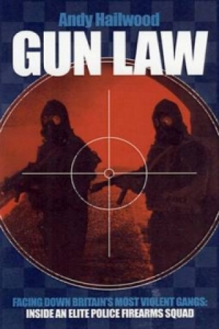 Buch Gun Law Andy Hailwood