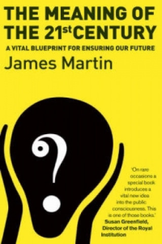 Könyv Meaning Of The 21st Century James Martin