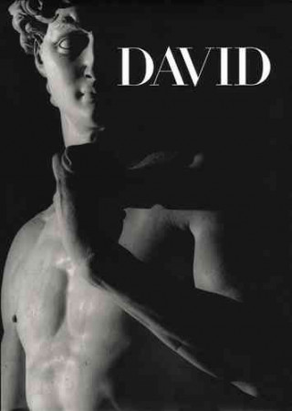 Książka David Antonio Paolucci