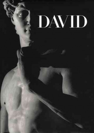 Buch David Antonio Paolucci