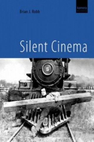 Kniha Silent Cinema Brian J Robb