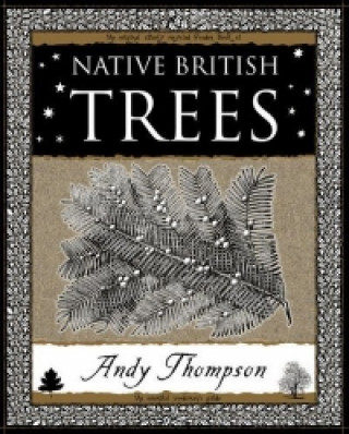 Książka Native British Trees Andy Thompson