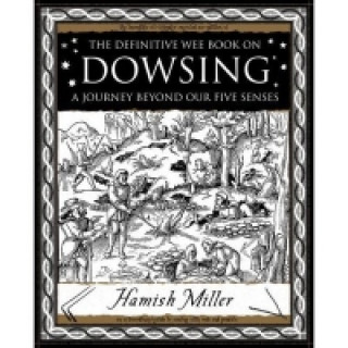 Buch Dowsing Hamish Miller