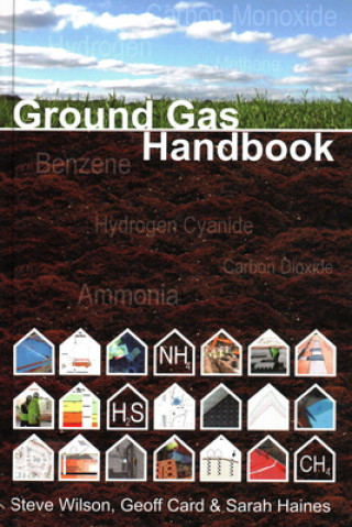 Buch Ground Gas Handbook Steve Wilson