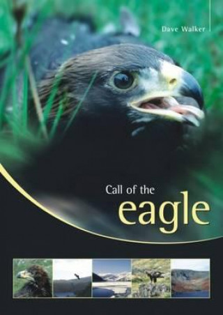 Könyv Call of the Eagle Dave Walker