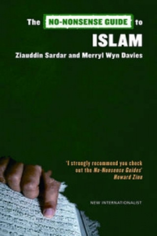 Buch No-Nonsense Guide to Islam Ziauddin Sardar