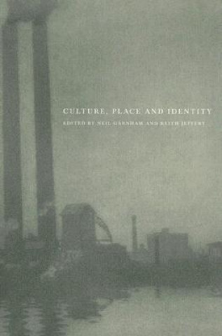 Buch Culture, Place and Identity Neal Garnham