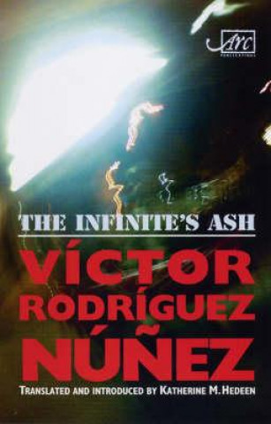 Kniha Infinite's Ash Victor Rodriguez Nunez