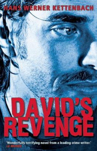 Buch David's Revenge Hans Werner Kettenbach