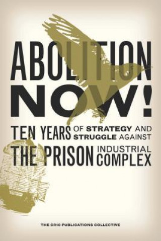 Könyv Abolition Now! 