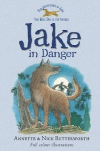Carte Jake in Danger Nick Butterworth
