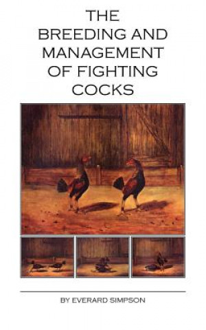 Książka Breeding and Management of Fighting Cocks EVERARD SIMPSON