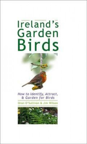 Carte Ireland's Garden Birds Oran O Sullivan