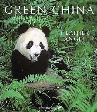 Kniha Green China Martin Walters