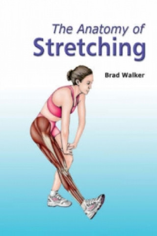 Carte Anatomy of Stretching Bradley E Walker