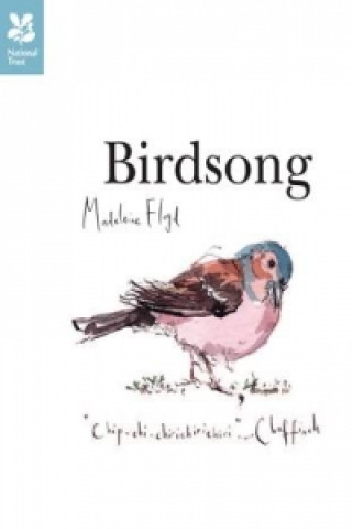 Kniha Birdsong Madeleine Floyd