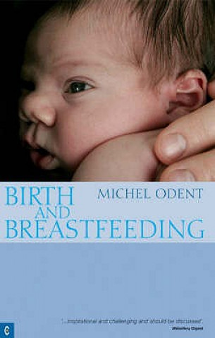 Könyv Birth and Breastfeeding Michel Odent