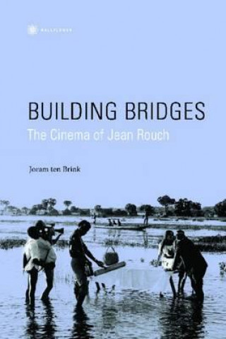 Kniha Building Bridges Joram Brink