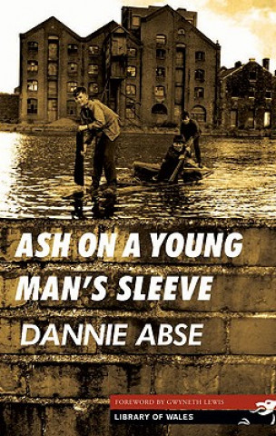 Kniha Ash on a Young Man's Sleeve Dannie Abse