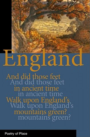 Boek England A. N. Wilson