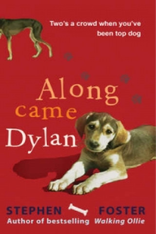 Kniha Along Came Dylan: Two's a Crowd When You've Been Top Dog Stephen Foster