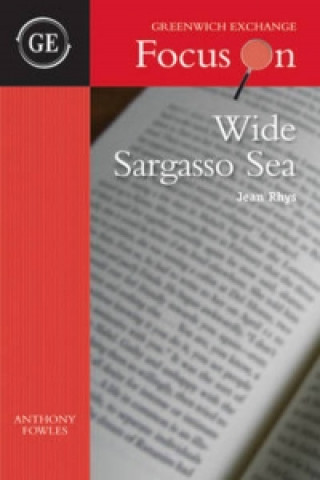 Buch Wide Sargasso Sea by Jean Rhys Anthony Fowles