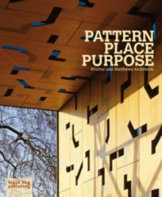 Carte Pattern Place Purpose: Proctor and Matthews Architects Peter Blundell-Jones