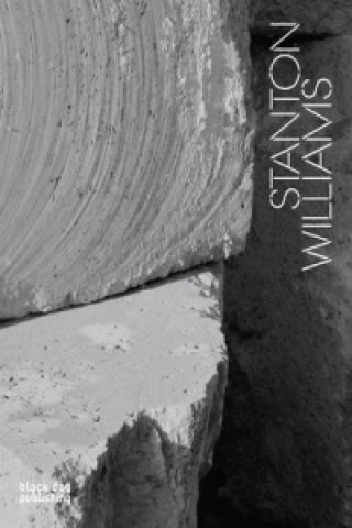 Kniha Stanton Williams Stephen Bayley