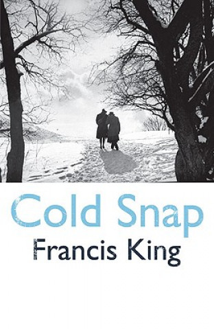 Kniha Cold Snap Francis King