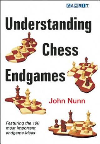 Kniha Understanding Chess Endgames John Nunn