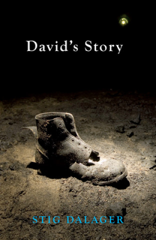 Knjiga David's Story Stig Dalager