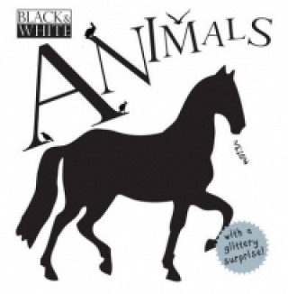 Könyv Animals David Stewart