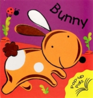 Книга Bunny - Pop Up Book Fiona Hayes