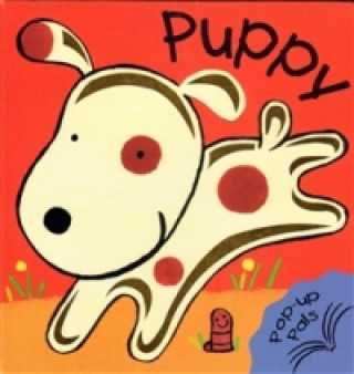 Carte Puppy - Pop Up Book Fiona Hayes