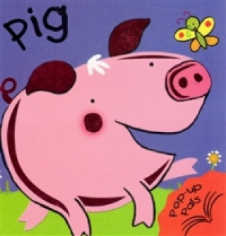 Könyv Pig - Pop Up Book Fiona Hayes