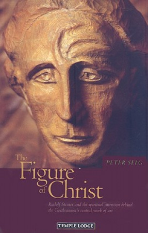 Kniha Figure of Christ Peter Selg