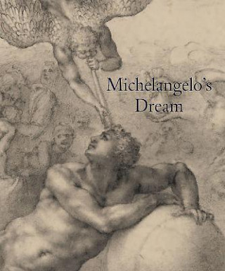 Book Michelangelo'S Dream Stephanie Buck