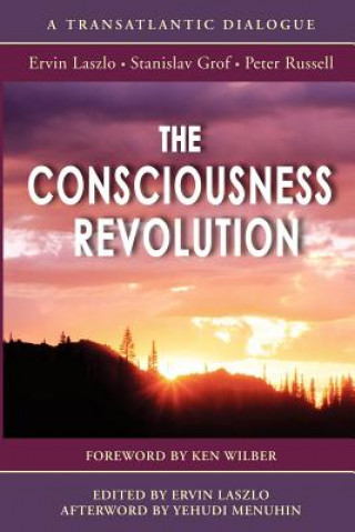 Книга Consciousness Revolution Peter Russell