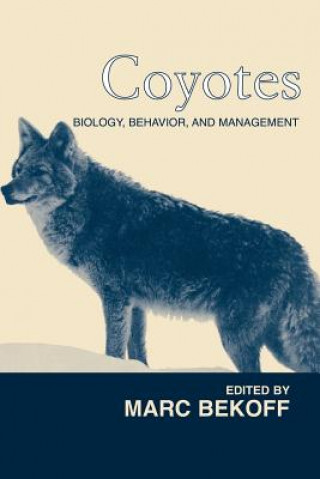 Könyv Coyotes Marc Bekoff