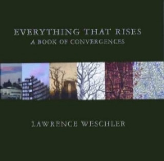 Book Everything That Rises Lawrence Weschler