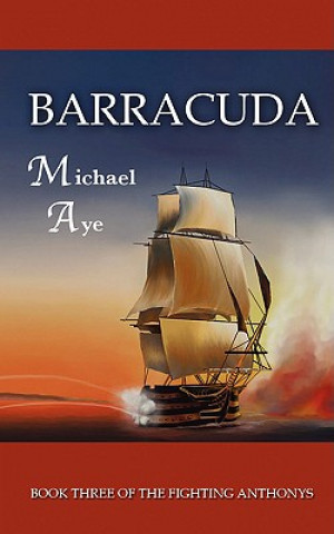 Könyv Barracuda Michael Aye