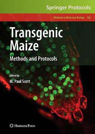 Buch Transgenic Maize M Paul Scott