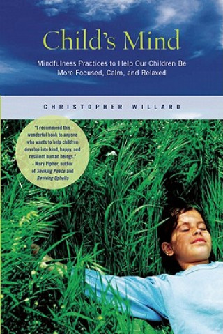 Kniha Child's Mind Christopher Willard