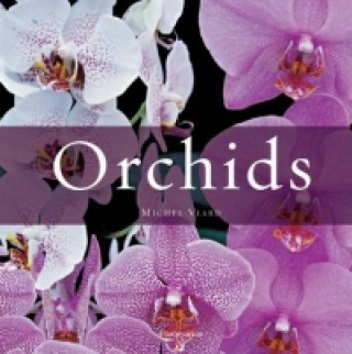 Kniha Orchids Michel Viard