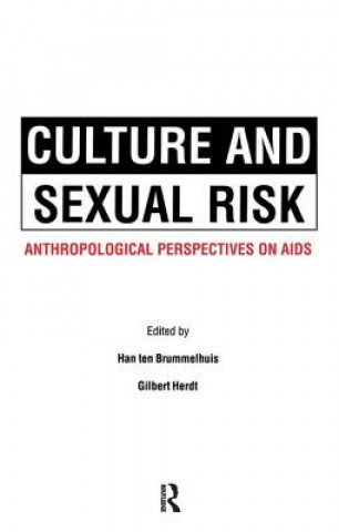 Könyv Culture and Sexual Risk Hansten Brummelhuis