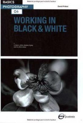 Könyv Working in Black & White David Prakel