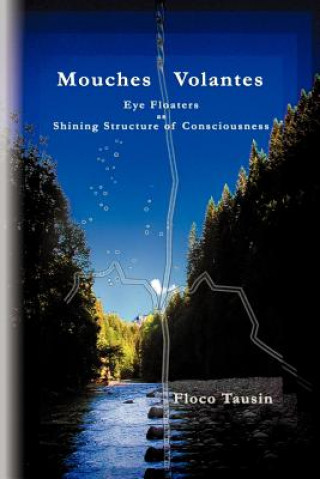 Carte Mouches Volantes - Eye Floaters as Shining Structure of Consciousness Floco Tausin