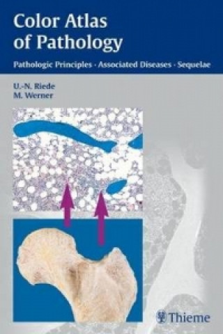 Könyv Color Atlas of Pathology Riede