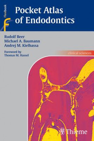Kniha Pocket Atlas of Endodontics Rudolf Beer