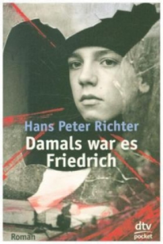 Книга Damals war es Friedrich Richter